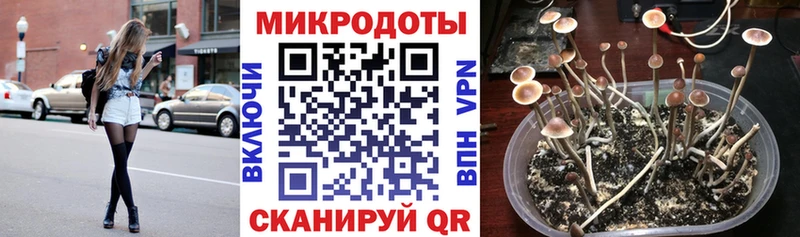 Псилоцибиновые грибы прущие грибы  купить наркоту  Чистополь 